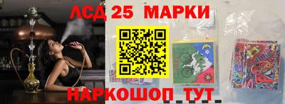 гидропоника Дубна