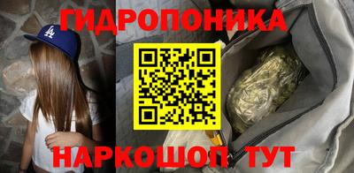 шишки Донской