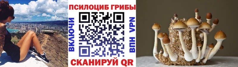 hydra рабочий сайт  купить  сайты  Красноуфимск  Псилоцибиновые грибы Psilocybe 