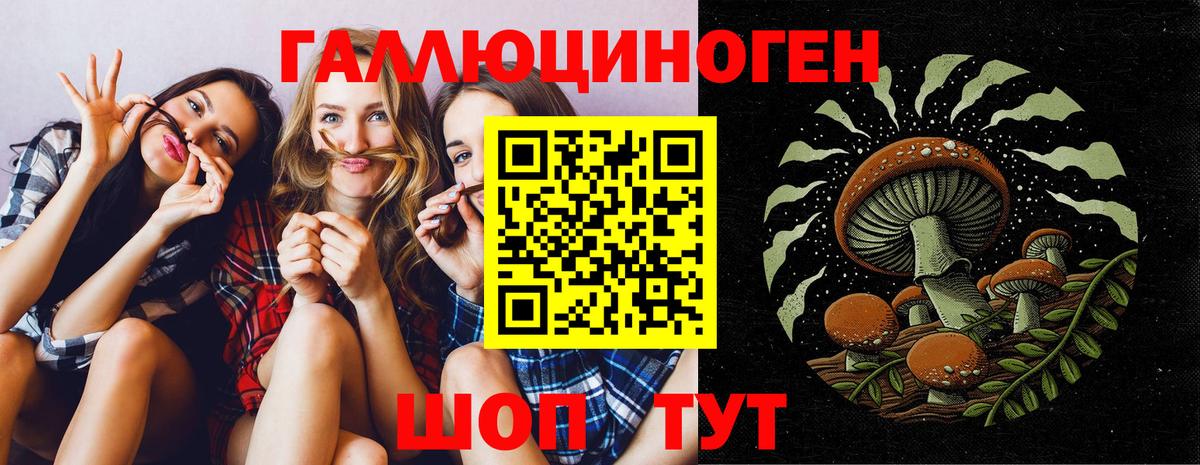 Красноуфимск  Псилоцибиновые грибы ЛСД  Галлюциногенные грибы Cubensis  Вход с VPN 
