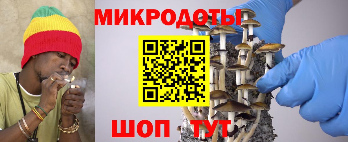 Псилоцибиновые грибы Psilocybine cubensis Красноуфимск